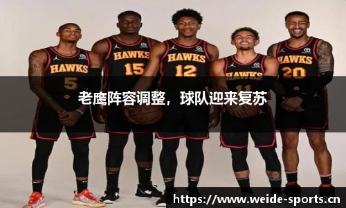 老鹰阵容调整，球队迎来复苏