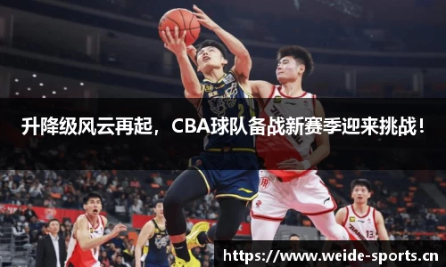 韦德体育官网